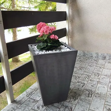 Johana Kranjska * Kranjska Gora